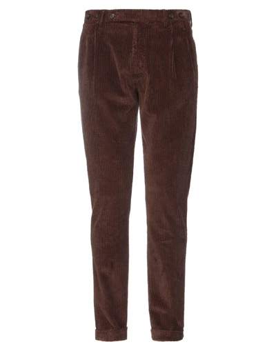 Shop Berwich Man Pants Brown Size 36 Cotton