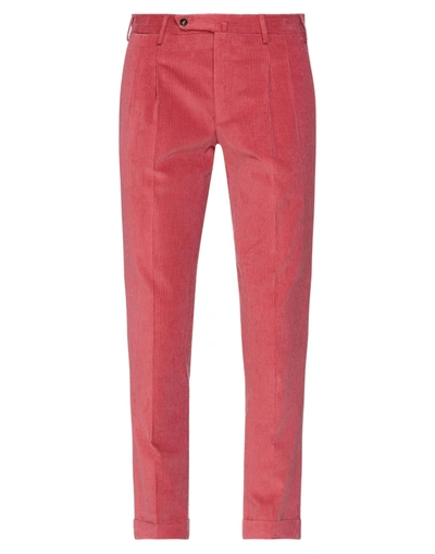 Shop Pt Torino Pants In Coral