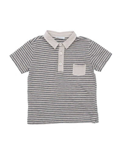Shop Kid's Company Polo Shirts In Grey
