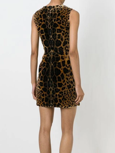Shop Dolce & Gabbana Leopard Jacquard Mini Dress