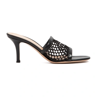 Shop Gianvito Rossi Jamaica Mules Shoes In Black