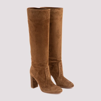 Shop Gianvito Rossi Glen Boots Shoes In Brown