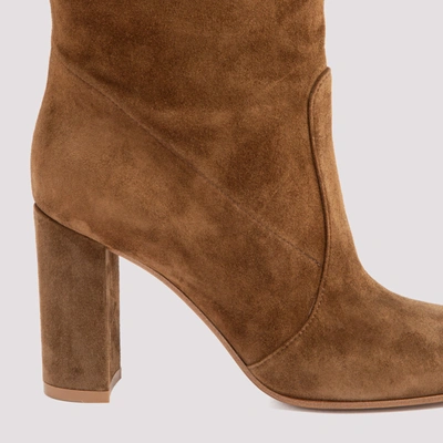Shop Gianvito Rossi Glen Boots Shoes In Brown