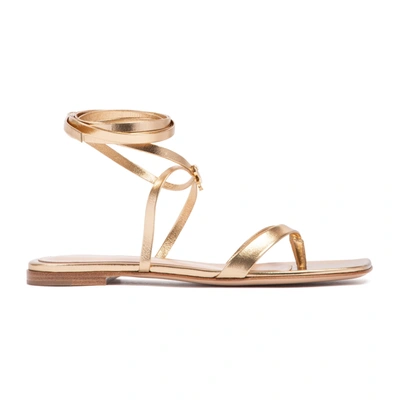 Shop Gianvito Rossi Ribbon Gladiator Sandals Shoes In Nude &amp; Neutrals