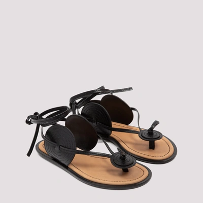 Shop Loewe Disc Sandals Shoes In Black