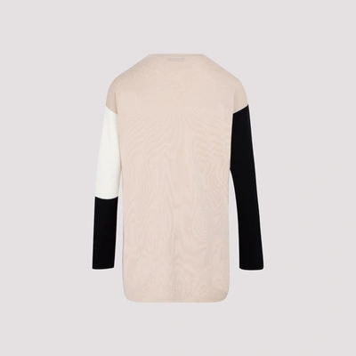 Shop Max Mara Secchia Bicolor Sweater In Nude &amp; Neutrals