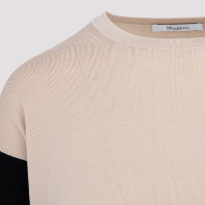 Shop Max Mara Secchia Bicolor Sweater In Nude &amp; Neutrals