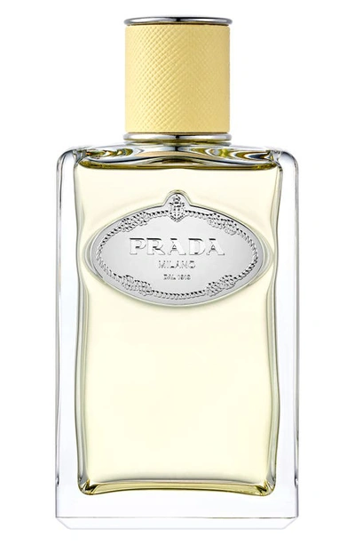 Shop Prada Les Infusions Mimosa Eau De Parfum In Yellow