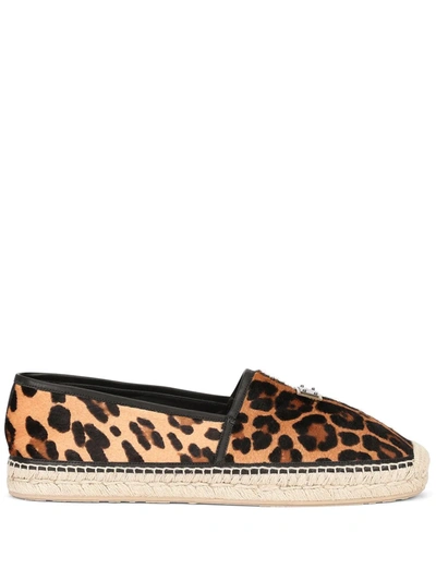 Shop Dolce & Gabbana Leopard-print Logo-tag Espadrilles In Brown