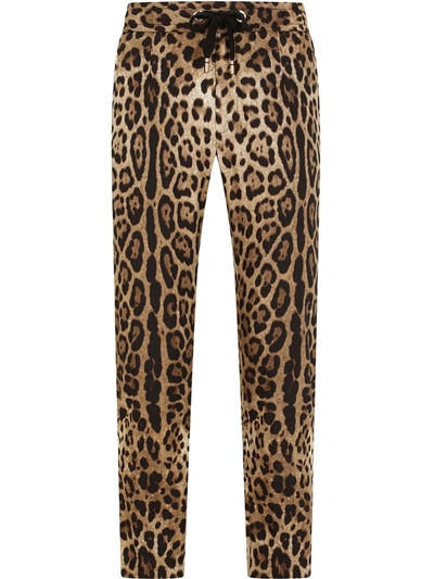 Shop Dolce & Gabbana Leopard-print Sweatpants In Braun