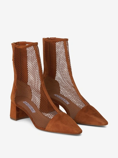 Shop Aquazzura Saint Honore Mesh Panelled Ankle Boots In Brown