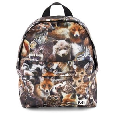 Shop Molo Forest Animals Backpack In Brown