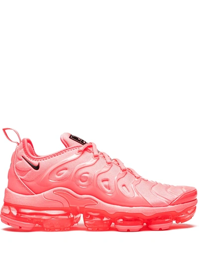 Shop Nike Air Vapormax Plus "bubblegum" Sneakers In Red
