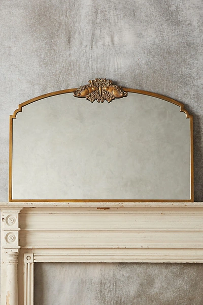 Shop Anthropologie Wooded Manor Mirror