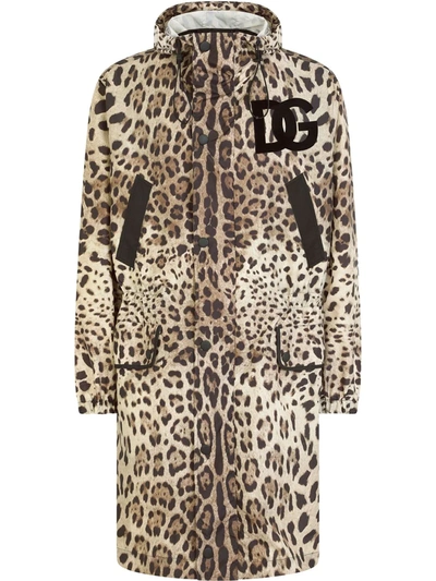 Shop Dolce & Gabbana Dg Logo-patch Leopard-print Raincoat In Braun