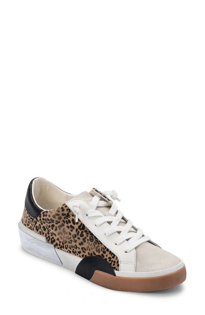 Shop Dolce Vita Zina Sneaker In Tan/ Black Leopard Suede