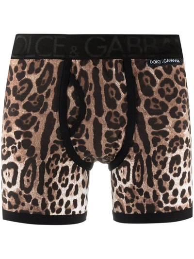 Shop Dolce & Gabbana Leopard-print Long-leg Briefs In Neutrals