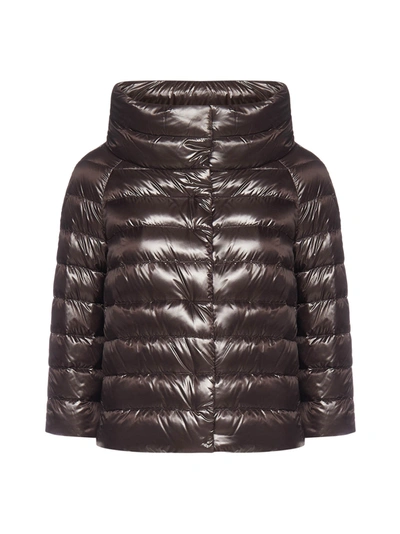 Shop Herno Sofia Cropped Padded Jacket In Brown