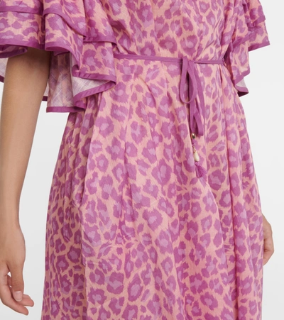 Shop Zimmermann Teddy Leopard-print Cotton Midi Dress In Pink