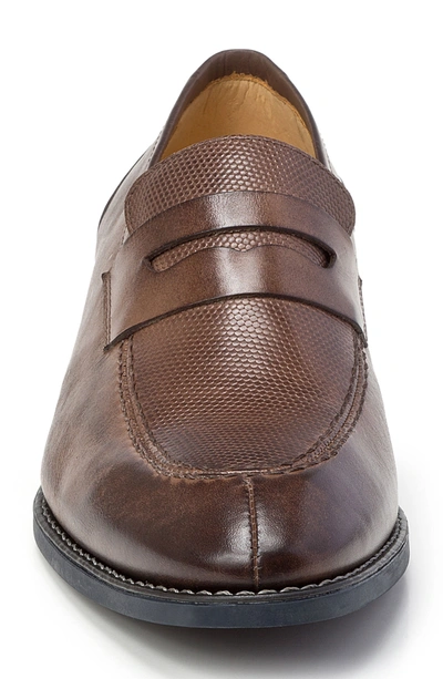 Shop Sandro Moscoloni Maestro Moc Toe Penny Loafer In Brown Leather
