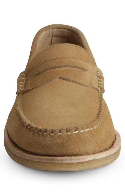 Shop Allen Edmonds Catalina Penny Loafer In Tan Suede