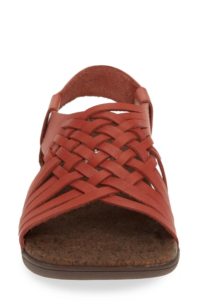 Shop Merrell District Mahana Backstrap Sandal In Redwood Leather
