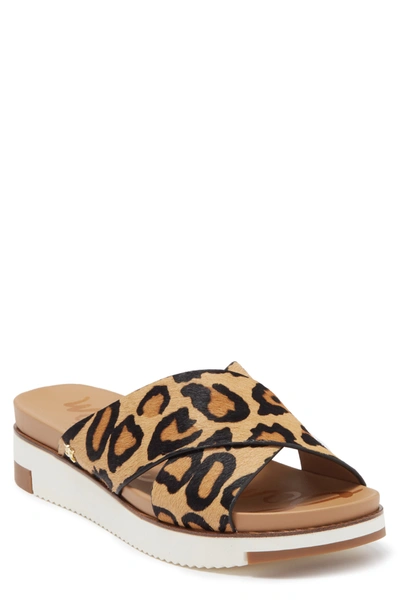 Shop Sam Edelman Audrea Leopard Print Leather Slide Platform Sandal In New Tan Brahma Hair