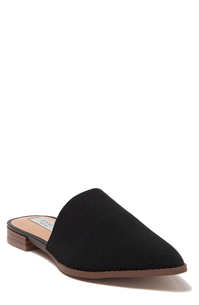 Shop Steven New York Valdez Knit Mule In Black