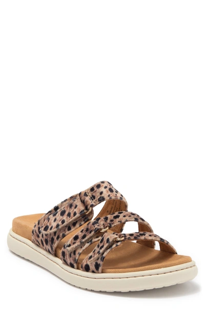Born daintree sandal new arrivals