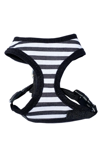Shop Dogs Of Glamour Ritz Harness Striped Black