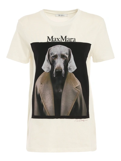 Shop Max Mara Dogstar T-shirt In White