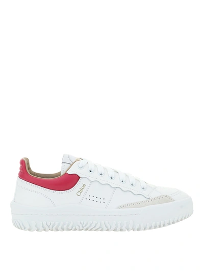 Shop Chloé Franckie Sneakers In White