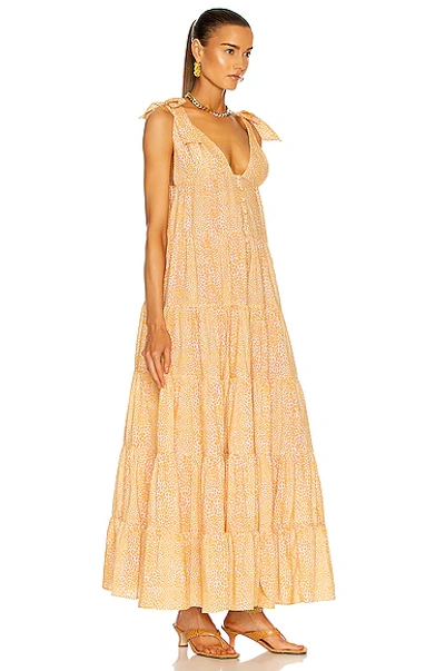 Shop Adriana Degreas Tortoise Long Dress In Yellow