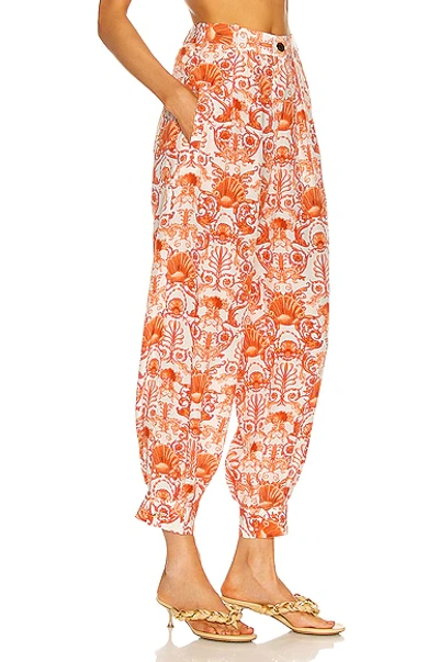 Shop Adriana Degreas Seashell Carrot Pants In Off White
