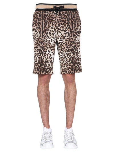 Shop Dolce & Gabbana Bermuda With Leopard Print In Animalier