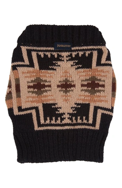 Shop Pendleton Harding Dog Sweater