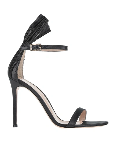 Shop Gianvito Rossi Woman Sandals Black Size 11 Textile Fibers
