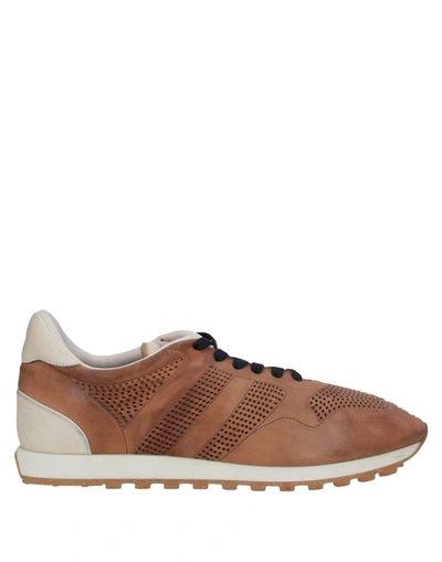 Shop Alberto Fasciani Sneakers In Brown