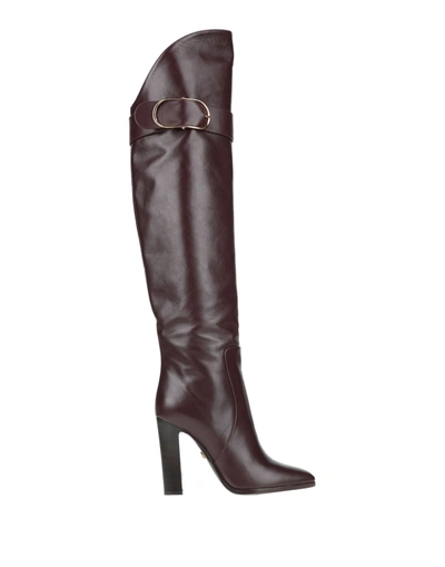Shop Dolce & Gabbana Woman Boot Deep Purple Size 7.5 Calfskin
