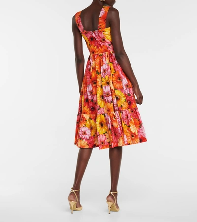 Shop Dolce & Gabbana Floral Cotton Midi Dress In Multicoloured