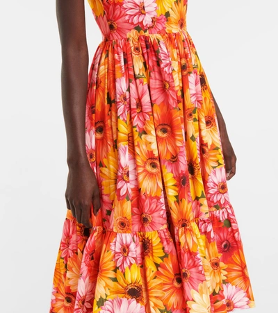 Shop Dolce & Gabbana Floral Cotton Midi Dress In Multicoloured