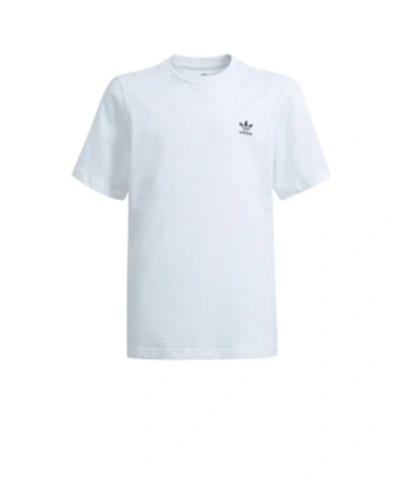 Shop Adidas Originals Adidas Big Boys Adicolor T-shirt In White