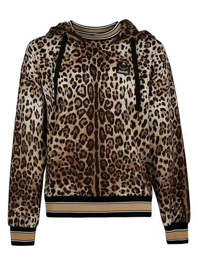 Shop Dolce & Gabbana Animalier Print Stripe Trimmed Hooded Sweatshirt In Leopard