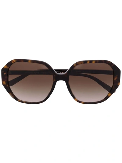 Shop Michael Kors Tortoiseshell-frame Sunglasses In Braun