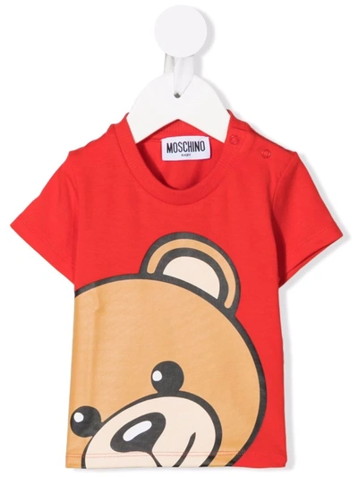 Shop Moschino Teddy Bear Print T-shirt In 红色