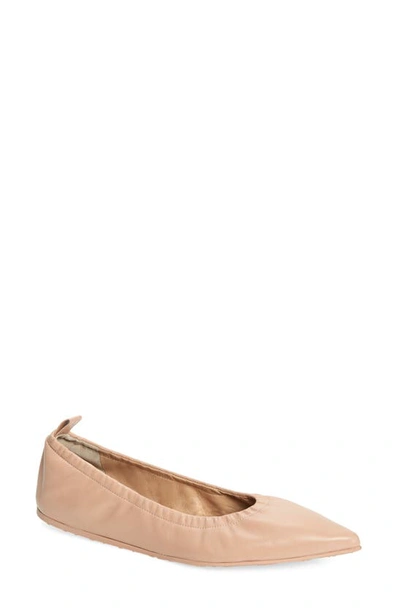 Shop Gianvito Rossi Pointed Toe Ballet Flat In Peach