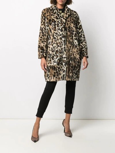 Shop Dsquared2 Leopard Print Single-breasted Coat In Mixed Colours