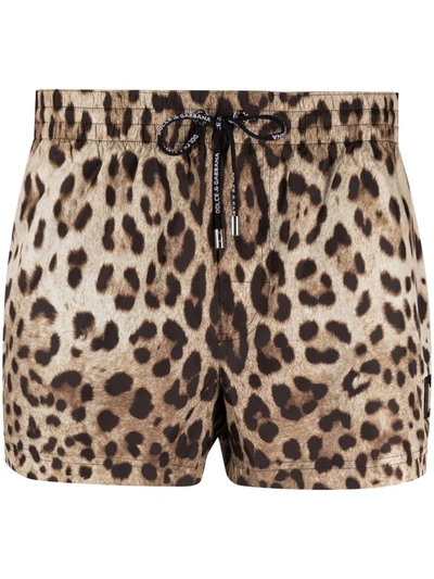 Shop Dolce & Gabbana Leopard-print Swim Shorts In Nude