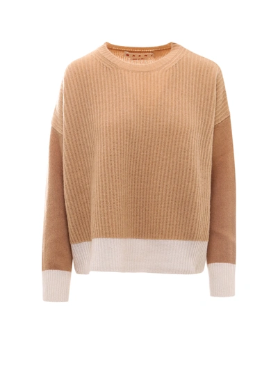 Shop Marni Sweater In Brown