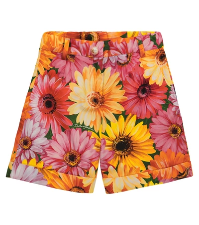 Shop Dolce & Gabbana Floral Cotton Poplin Shorts In Multicoloured